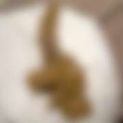 ヒメ日記 2025/07/04 22:06 投稿 るあん 排泄マニア