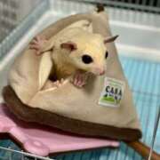 ヒメ日記 2025/07/19 12:00 投稿 るあん 排泄マニア