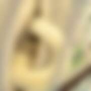 ヒメ日記 2025/07/21 17:16 投稿 るあん 排泄マニア