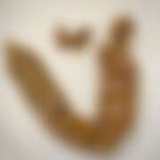 ヒメ日記 2025/08/01 10:00 投稿 るあん 排泄マニア