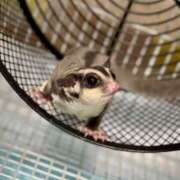 ヒメ日記 2025/08/09 01:30 投稿 るあん 排泄マニア