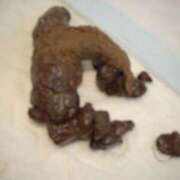 ヒメ日記 2025/08/23 08:00 投稿 るあん 排泄マニア