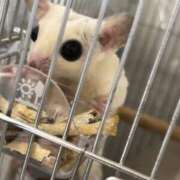 ヒメ日記 2025/09/06 18:00 投稿 るあん 排泄マニア