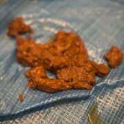 ヒメ日記 2025/09/07 08:00 投稿 るあん 排泄マニア