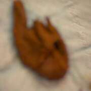 ヒメ日記 2025/09/30 10:00 投稿 るあん 排泄マニア