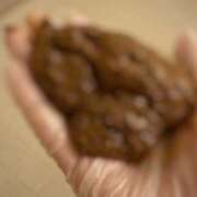 ヒメ日記 2025/09/30 15:16 投稿 るあん 排泄マニア