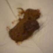 ヒメ日記 2025/10/12 08:00 投稿 るあん 排泄マニア