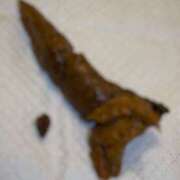 ヒメ日記 2025/10/16 14:29 投稿 るあん 排泄マニア