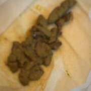 ヒメ日記 2025/10/19 10:00 投稿 るあん 排泄マニア