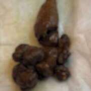 ヒメ日記 2025/10/22 08:00 投稿 るあん 排泄マニア