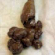 ヒメ日記 2025/10/23 12:00 投稿 るあん 排泄マニア