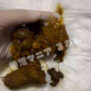 ヒメ日記 2025/10/28 12:00 投稿 るあん 排泄マニア