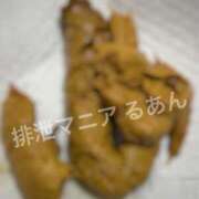 ヒメ日記 2025/10/30 12:00 投稿 るあん 排泄マニア