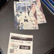 ヒメ日記 2025/11/14 16:21 投稿 るあん 排泄マニア