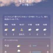 ヒメ日記 2025/11/19 20:00 投稿 るあん 排泄マニア