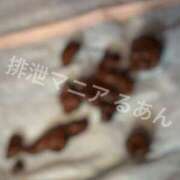 ヒメ日記 2025/12/06 08:00 投稿 るあん 排泄マニア