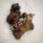 ヒメ日記 2025/12/13 08:00 投稿 るあん 排泄マニア