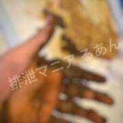 ヒメ日記 2025/12/13 17:31 投稿 るあん 排泄マニア