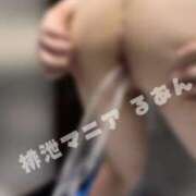 ヒメ日記 2025/12/14 09:20 投稿 るあん 排泄マニア