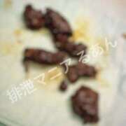 ヒメ日記 2025/12/16 16:00 投稿 るあん 排泄マニア