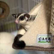 ヒメ日記 2025/12/18 20:00 投稿 るあん 排泄マニア