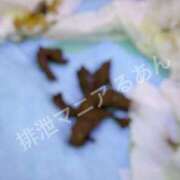 ヒメ日記 2025/12/21 08:00 投稿 るあん 排泄マニア