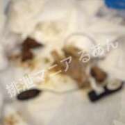 ヒメ日記 2025/12/28 08:00 投稿 るあん 排泄マニア