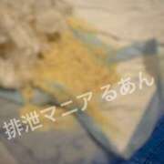 ヒメ日記 2025/12/28 10:00 投稿 るあん 排泄マニア