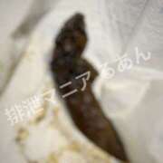 ヒメ日記 2026/01/01 20:00 投稿 るあん 排泄マニア