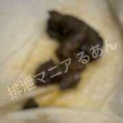 ヒメ日記 2026/01/03 08:00 投稿 るあん 排泄マニア