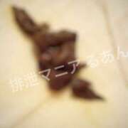 ヒメ日記 2026/01/14 22:07 投稿 るあん 排泄マニア