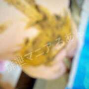 ヒメ日記 2026/02/01 08:00 投稿 るあん 排泄マニア