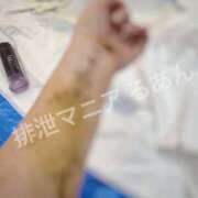 ヒメ日記 2026/02/01 18:05 投稿 るあん 排泄マニア