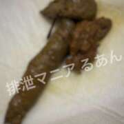 ヒメ日記 2026/02/08 08:00 投稿 るあん 排泄マニア