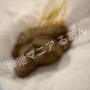 ヒメ日記 2026/02/11 10:00 投稿 るあん 排泄マニア