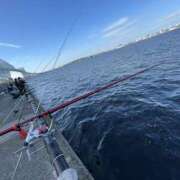 ヒメ日記 2026/02/14 10:00 投稿 るあん 排泄マニア