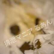 ヒメ日記 2026/02/14 17:25 投稿 るあん 排泄マニア