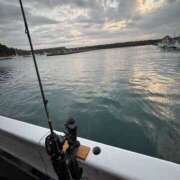 ヒメ日記 2026/02/15 20:00 投稿 るあん 排泄マニア