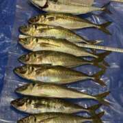 ヒメ日記 2026/02/16 10:00 投稿 るあん 排泄マニア