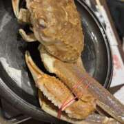 ヒメ日記 2026/02/22 10:00 投稿 るあん 排泄マニア