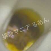 ヒメ日記 2026/02/27 21:40 投稿 るあん 排泄マニア