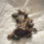 ヒメ日記 2026/03/02 10:00 投稿 るあん 排泄マニア