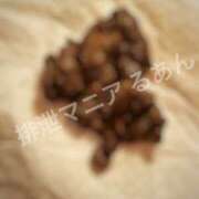 ヒメ日記 2026/03/06 22:00 投稿 るあん 排泄マニア