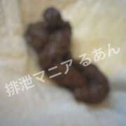 ヒメ日記 2026/03/16 22:00 投稿 るあん 排泄マニア