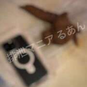 ヒメ日記 2026/03/17 22:00 投稿 るあん 排泄マニア