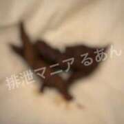 ヒメ日記 2026/03/20 08:00 投稿 るあん 排泄マニア