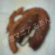 ヒメ日記 2026/03/20 22:00 投稿 るあん 排泄マニア