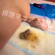 ヒメ日記 2026/03/31 18:00 投稿 るあん 排泄マニア