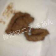 ヒメ日記 2026/04/03 22:00 投稿 るあん 排泄マニア