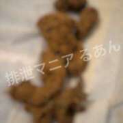 ヒメ日記 2026/04/04 17:08 投稿 るあん 排泄マニア